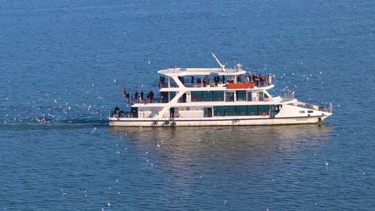 航拍滇池游船与海鸥