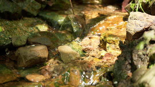 春天山泉水小溪流潺潺流水苔藓