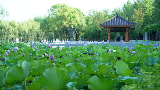 武汉汉阳江滩公园风景