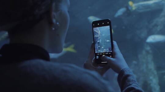 女人拿手机拍游动的鱼