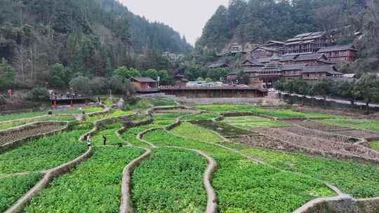 贵州肇兴侗寨民居鼓楼建筑航拍