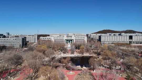 山东青年政治学院