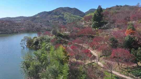 幸福水库 唐田村