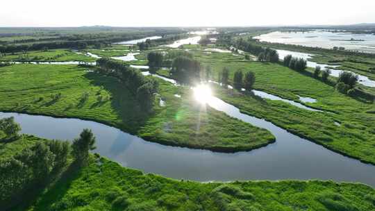 4K生态绿色辽河河流湖泊湿地碳汇