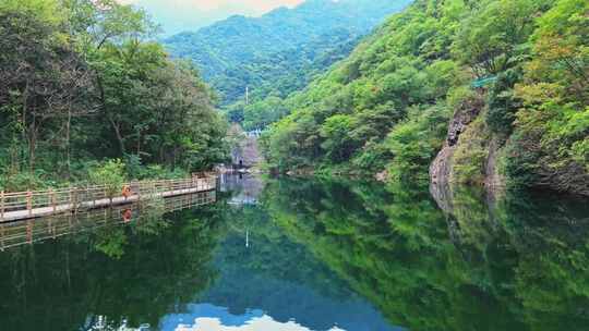 绿色森林湖泊水面航拍