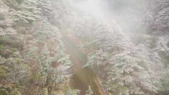 安徽黄山索道缆车雪山美景风景视频素材