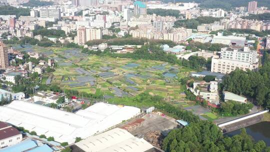 航拍深圳龙华区观澜城市空间