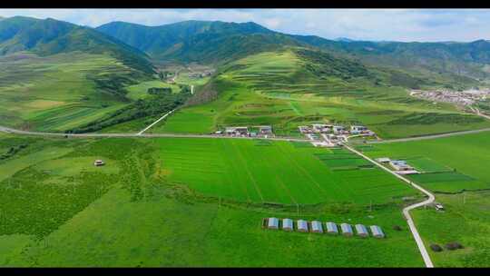 航拍草原 田野风光