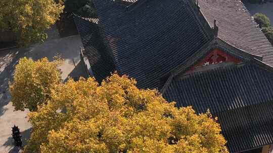 航拍洛阳白马寺