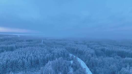 冻雾迷漫的大兴安岭林海雪原黎明