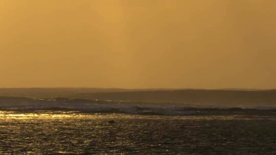 金色的夕阳和高大的波浪