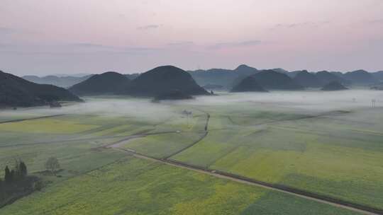 航拍油菜花海罗田云南春天蓝天白云风景景区