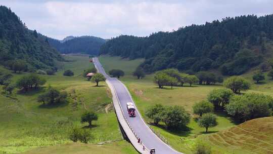 重庆武隆仙女山森林公园网红波浪公路小火车