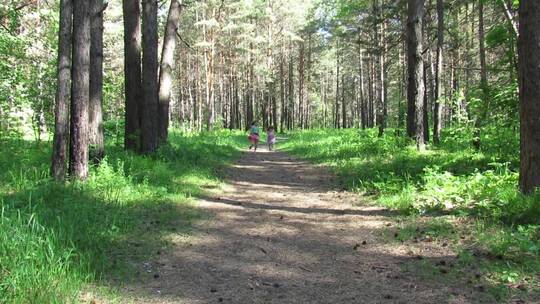 两个小女孩在森林小路上跑