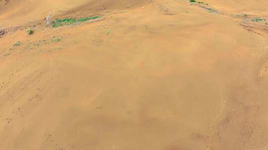 沙漠探寻从库布其开始视频素材模板下载