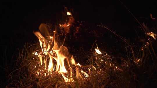 晚上的野火。火焰在慢动作的草火中燃烧。