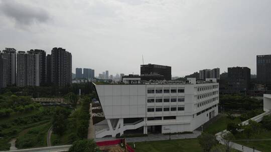 西丽大学城 南方科技大学