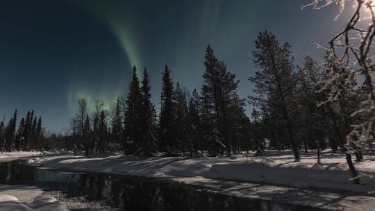森林雪地上空出现北极光