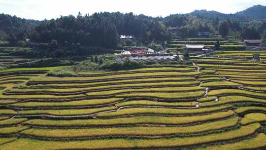 高山梯田农村航拍