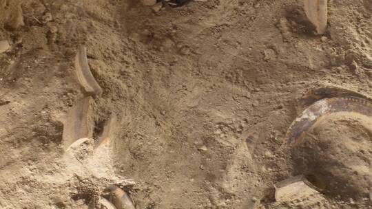 考古挖掘地下埋藏古董陶罐子