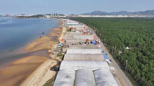 航拍威海市环翠区金海路海边的海水养殖大棚