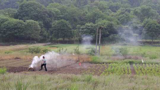 田间农民焚烧秸秆场景