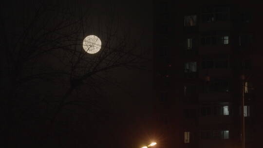 一轮圆月 月亮空镜