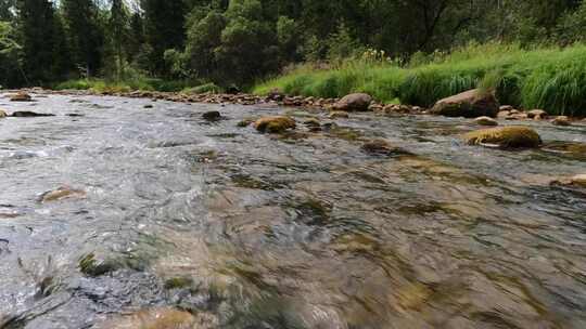 水夏林河