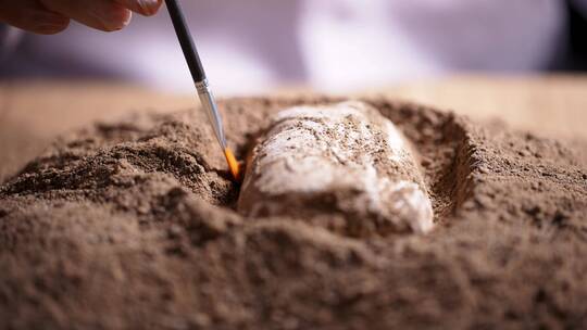 考古发掘人员用刷子轻轻扫去文物周边沙泥