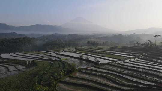 鸟瞰，麦格朗卡乔兰区梯田的晨景。在广告中