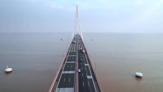 嘉兴海盐县杭州湾跨海大桥航拍4K