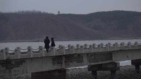 冬天下雪天情侣在海边遛狗看海视频素材模板下载