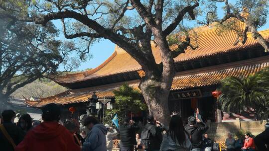 舟山旅游普陀山景区普济禅寺视频素材模板下载