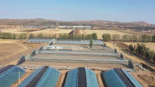 农田蔬菜大棚航拍景象