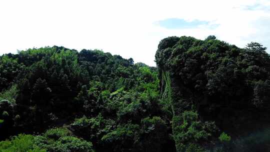 衡阳花果山