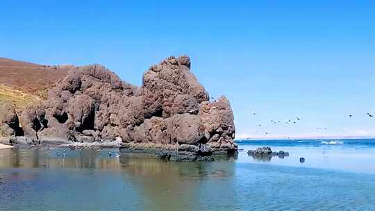 海边岩石与飞翔海鸟景观