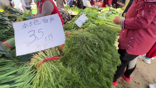 买菜绿叶菜蔬菜菜市场百姓生活赶大集