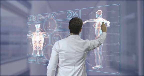 医生在智能板上研究人体构造