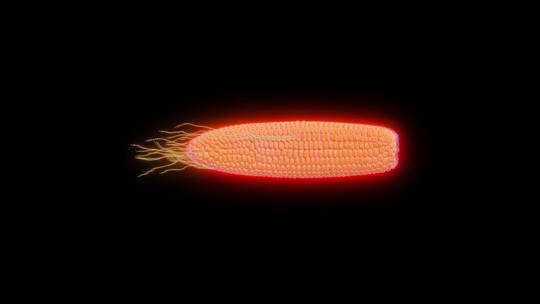 4K带通道赛博朋克元宇宙元素3D玉米