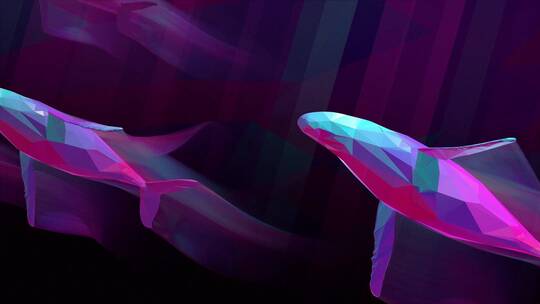 海洋鲸鱼 蓝鲸 座头鲸视频素材模板下载