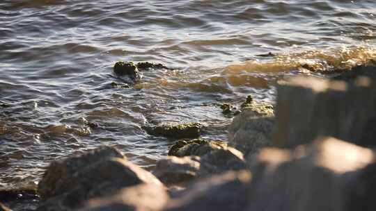 阳光下，浑浊的海浪轻轻地溅在岩石海岸的石