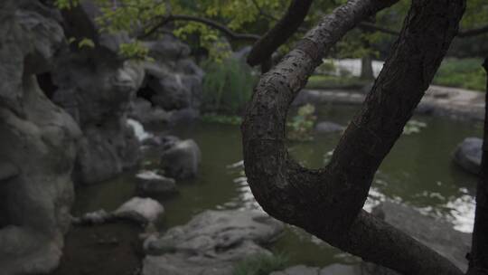 杭州江寺公园古典园林风景