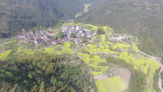 衢州市衢江区东平村