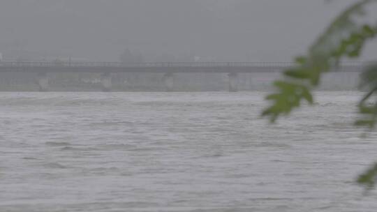 暴雨洪水LOG视频素材