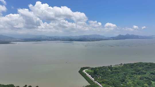 4K深圳福田区红树林