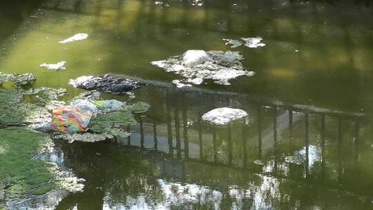 水污染垃圾视频素材模板下载