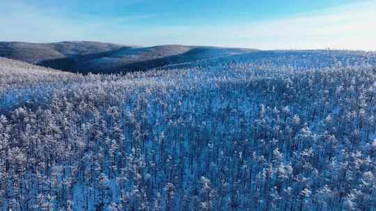 林海雪原 唯美高山雾凇