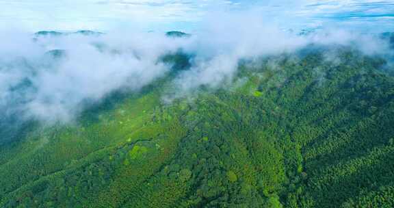 5K航拍广东南岭山脉大山高山山峰山脊岭南