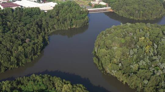 航拍深圳龙华区观澜河流及城区绿化