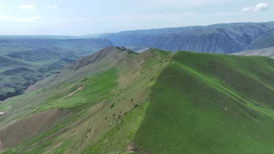 中国新疆伊犁特克斯琼库什台高山草原风光